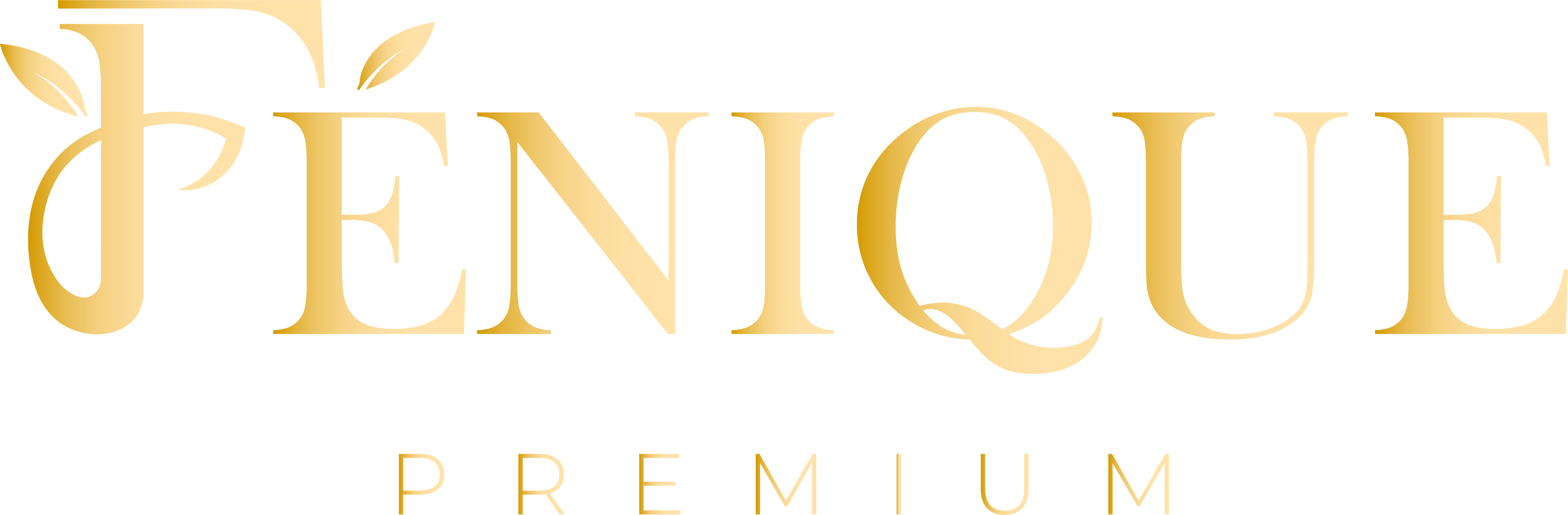 Logo 4