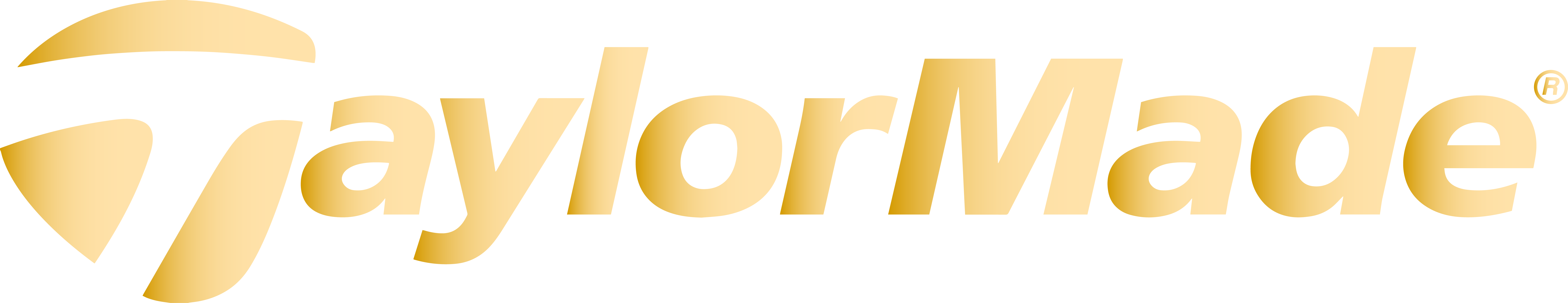 Logo 4
